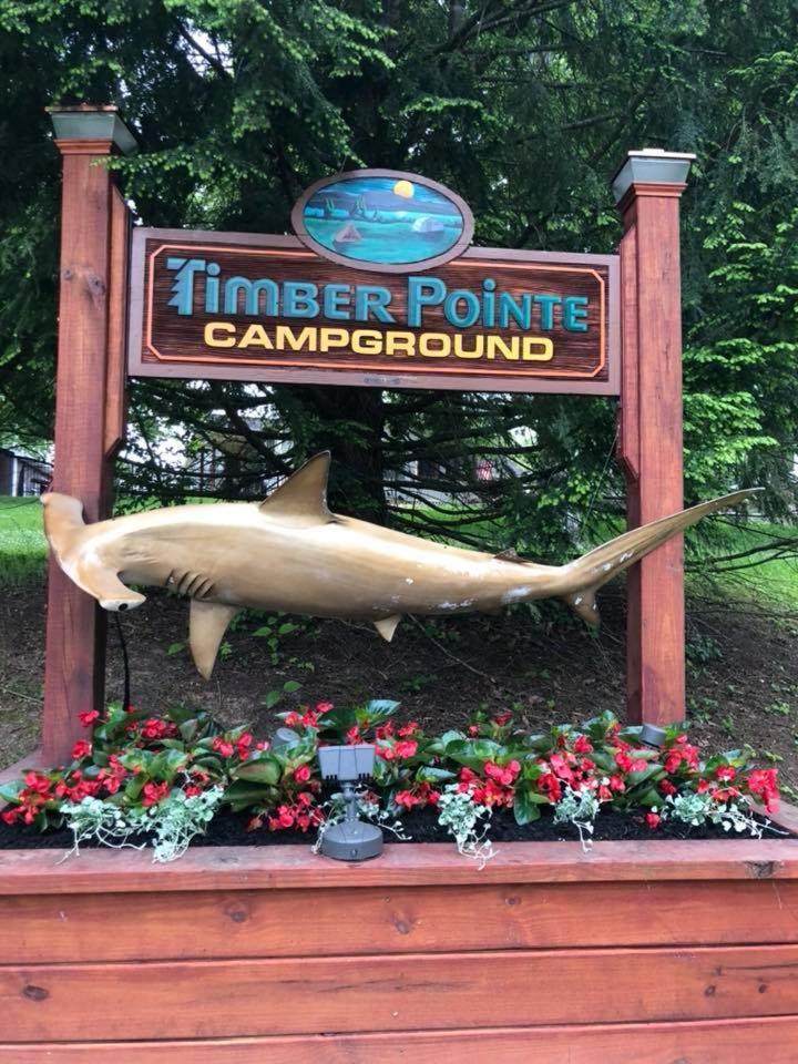 Timber Pointe Resort Jamestown Экстерьер фото